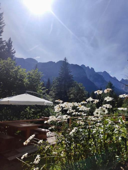 Appartamento Sulle Piste Folgarida Exterior photo
