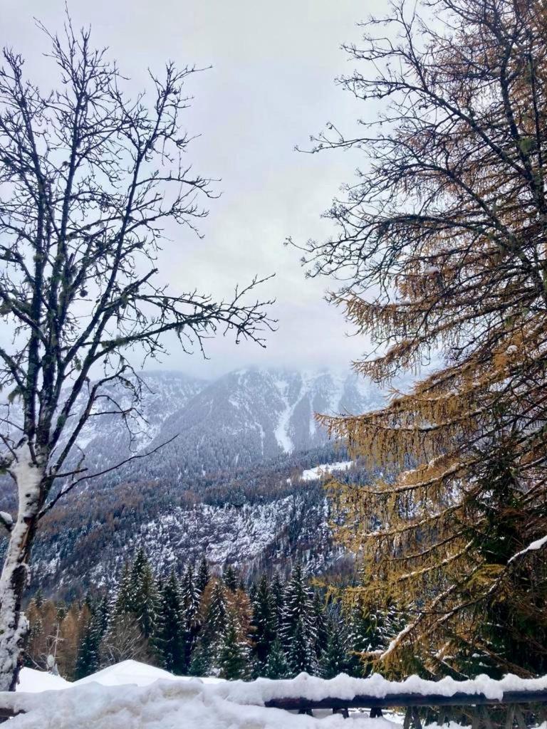 Appartamento Sulle Piste Folgarida Exterior photo